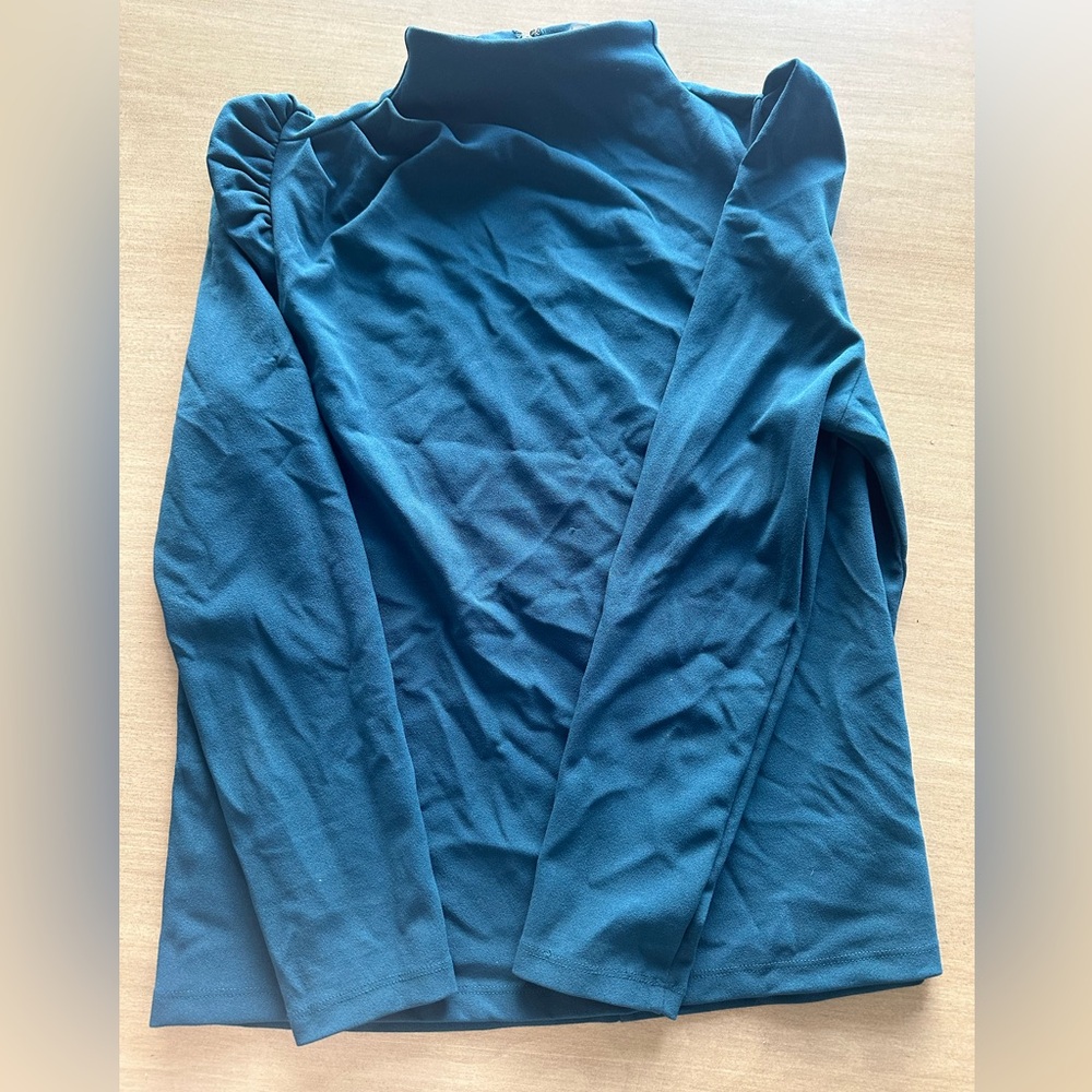 Ann Taylor Petite MP Green Top